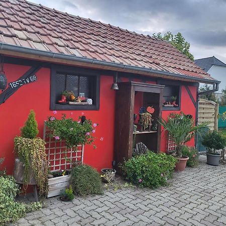 Apartamento Au Gré de L'Ill Les toits d'Horbourg Exterior foto