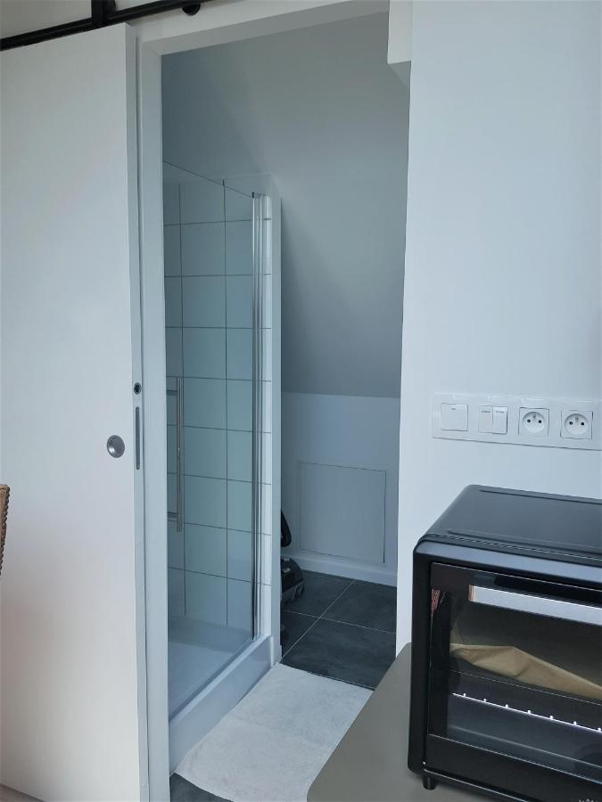 Apartamento Au Gré de L'Ill Les toits d'Horbourg Exterior foto