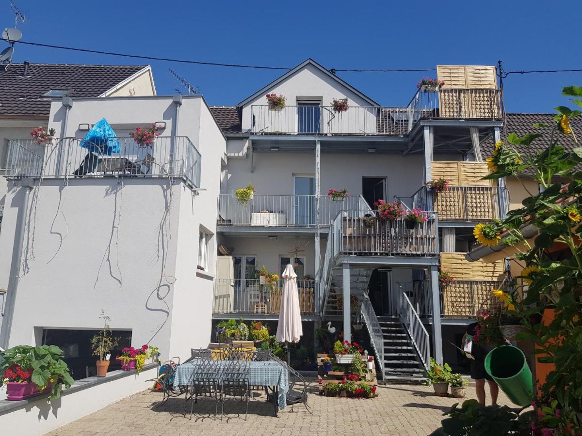 Apartamento Au Gré de L'Ill Les toits d'Horbourg Exterior foto