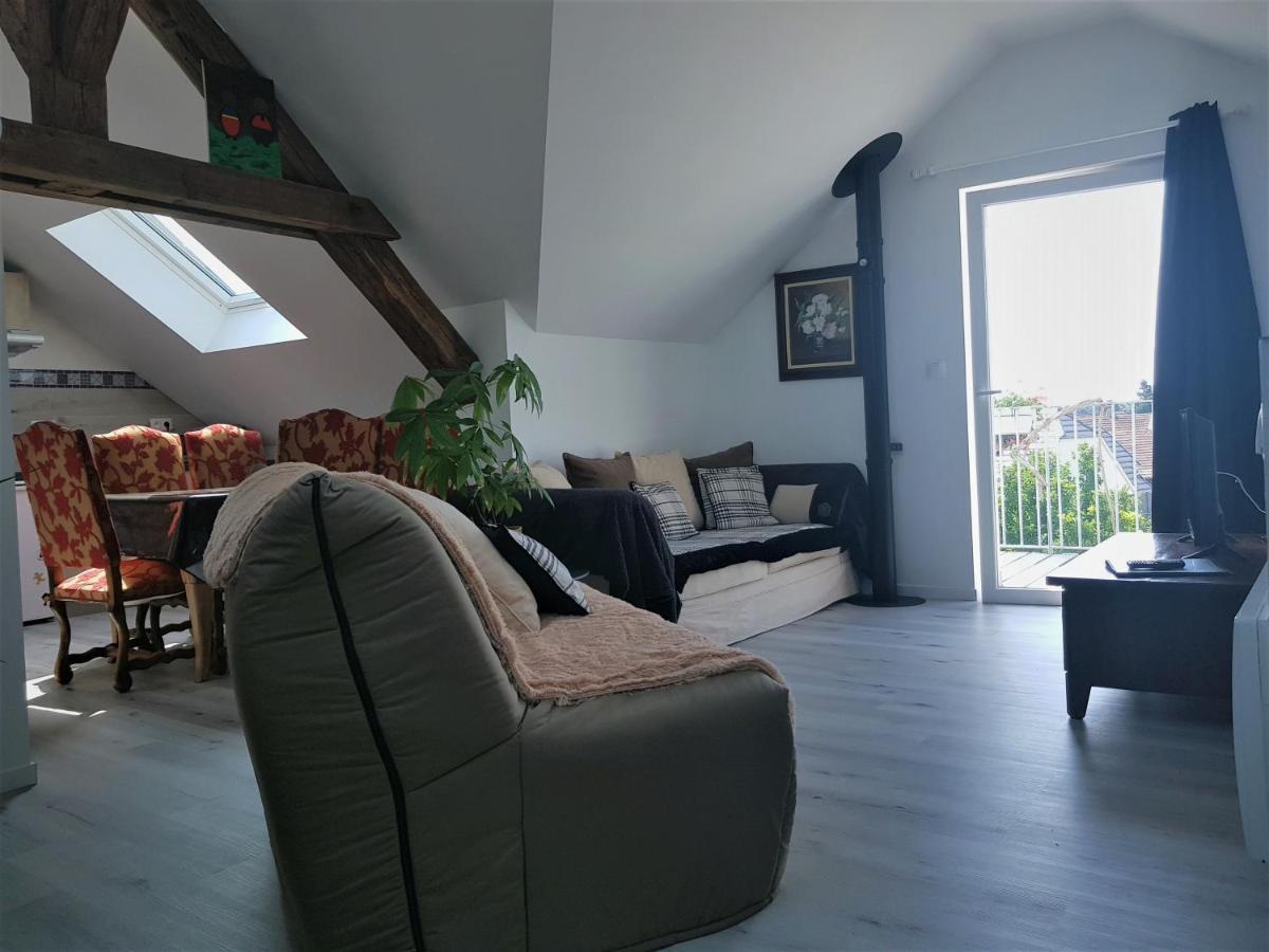 Apartamento Au Gré de L'Ill Les toits d'Horbourg Exterior foto